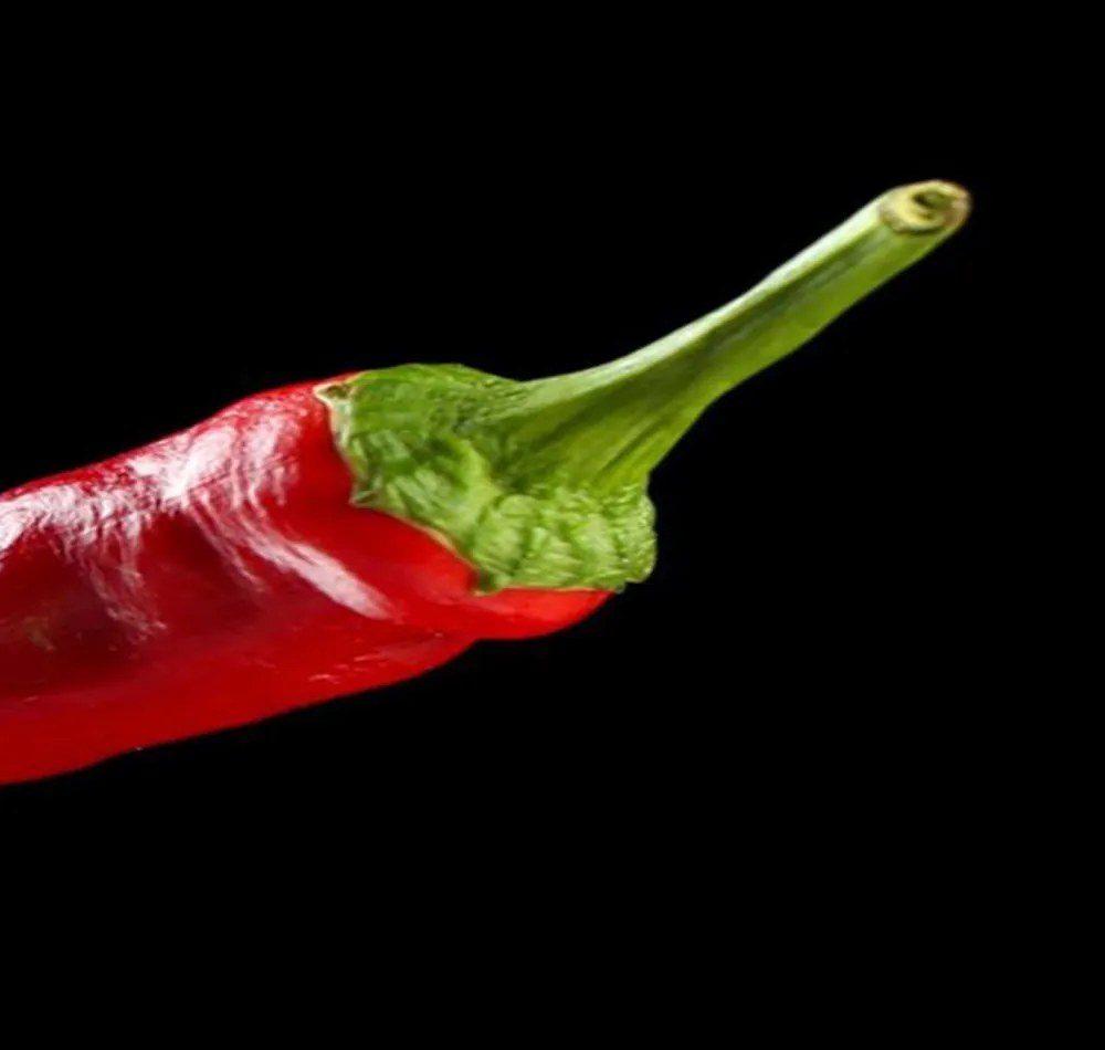Gario Paraván Chilli papričky na vidličke Rozmery: 110 x 170 cm, Prevedenie: Klasický paraván
