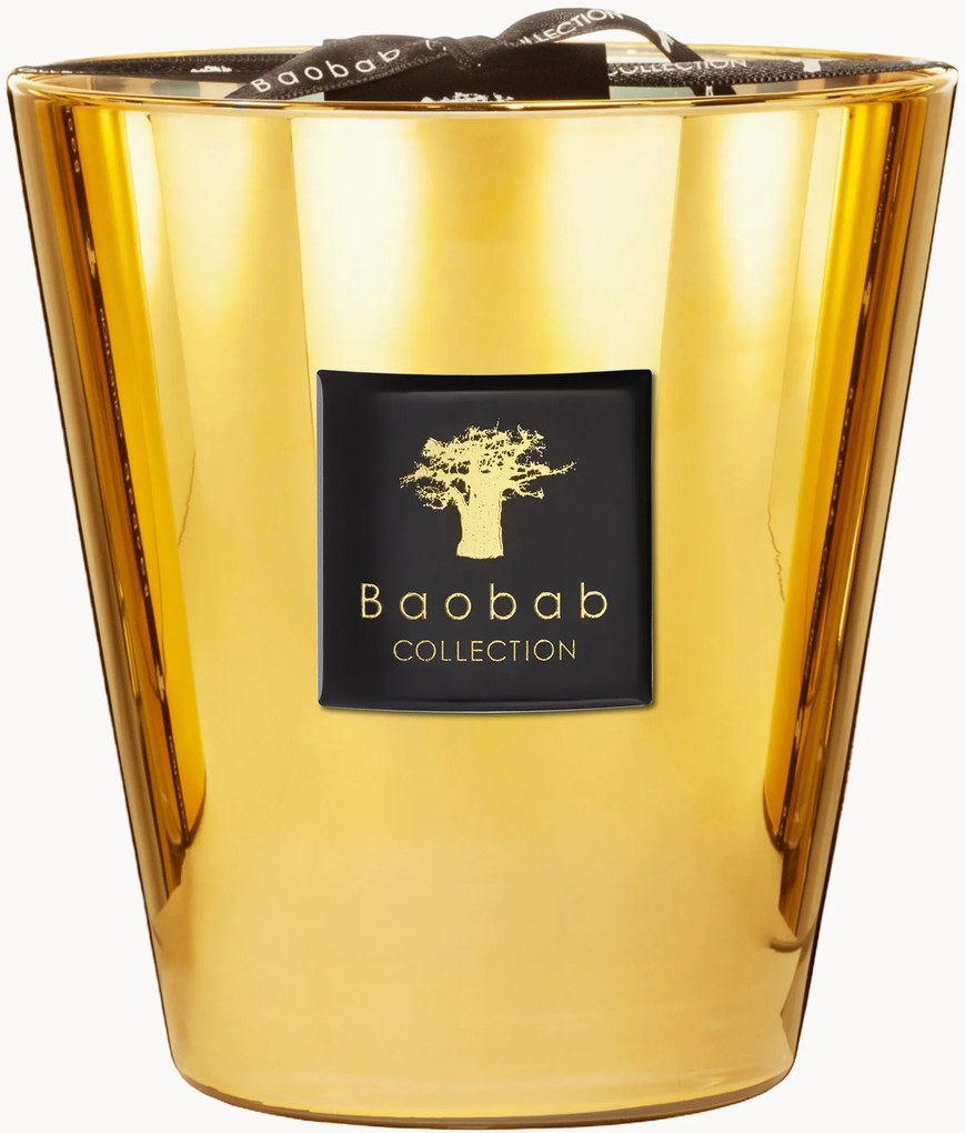 Štvorknôtová vonná sviečka Exclusives (jazmín, galbanum, pižmo)