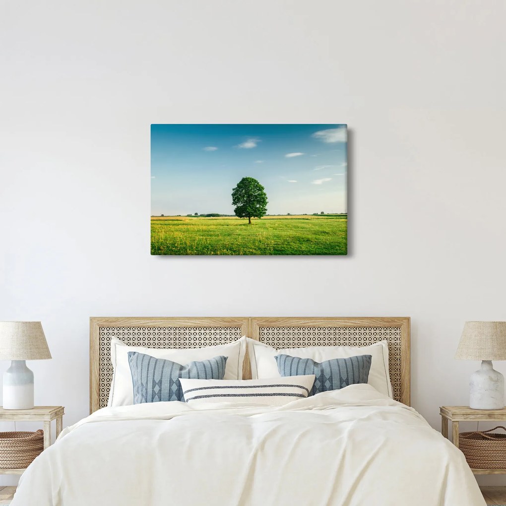 Obraz stromu uprostred lúky (90x60 cm)
