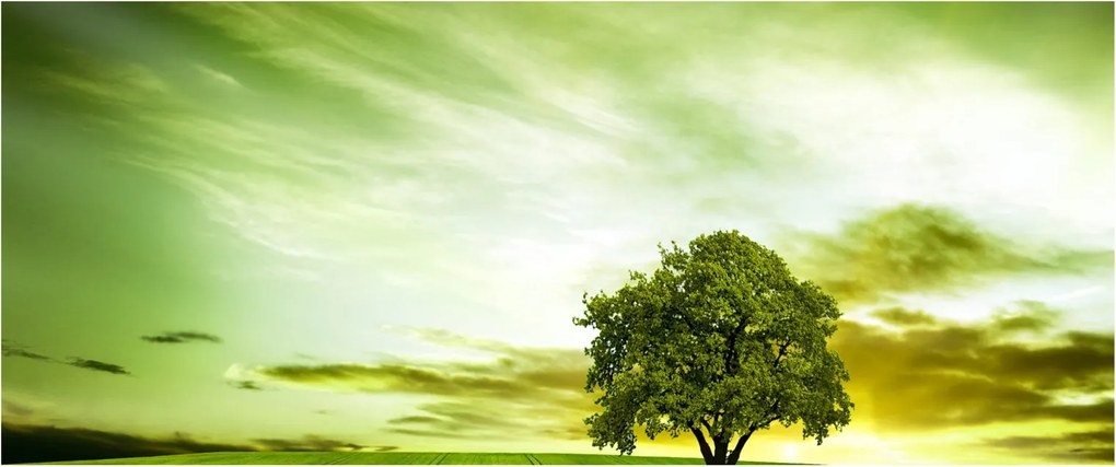 Obraz - Strom života (120x50 cm)