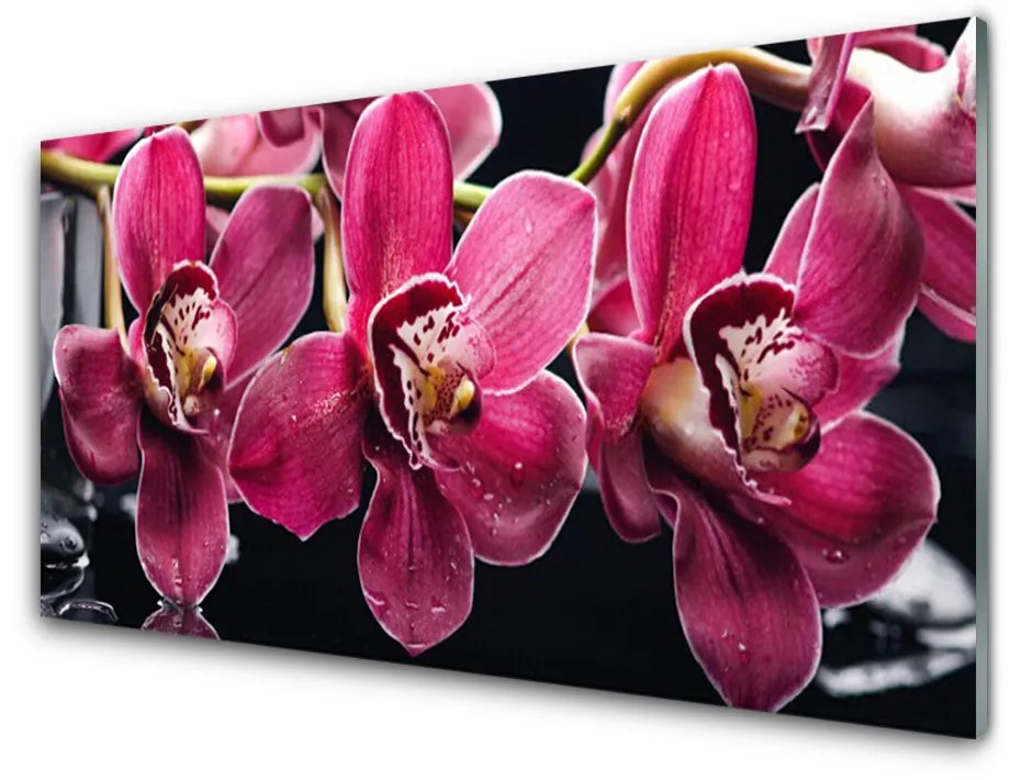 Sklenený obklad Do kuchyne Kvety orchidey výhonky príroda 120x60 cm