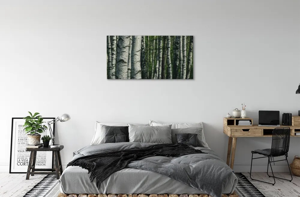 Obraz canvas brezového lesa 120x60 cm