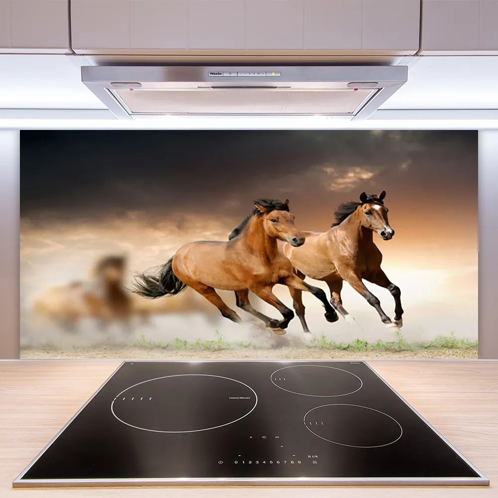Nástenný panel  Kone zvieratá 120x60 cm