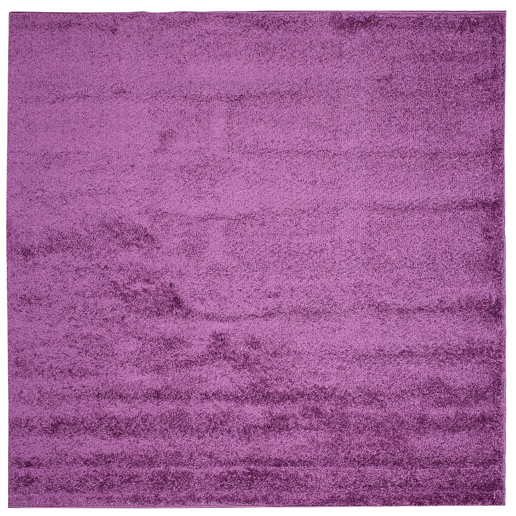 Dizajnový koberec VIOLET - SHAGGY ROZMERY: 240x330