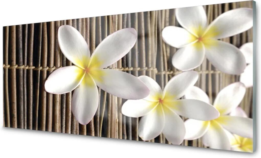 Obraz na akrylátovom skle Kvety Rastlina Príroda