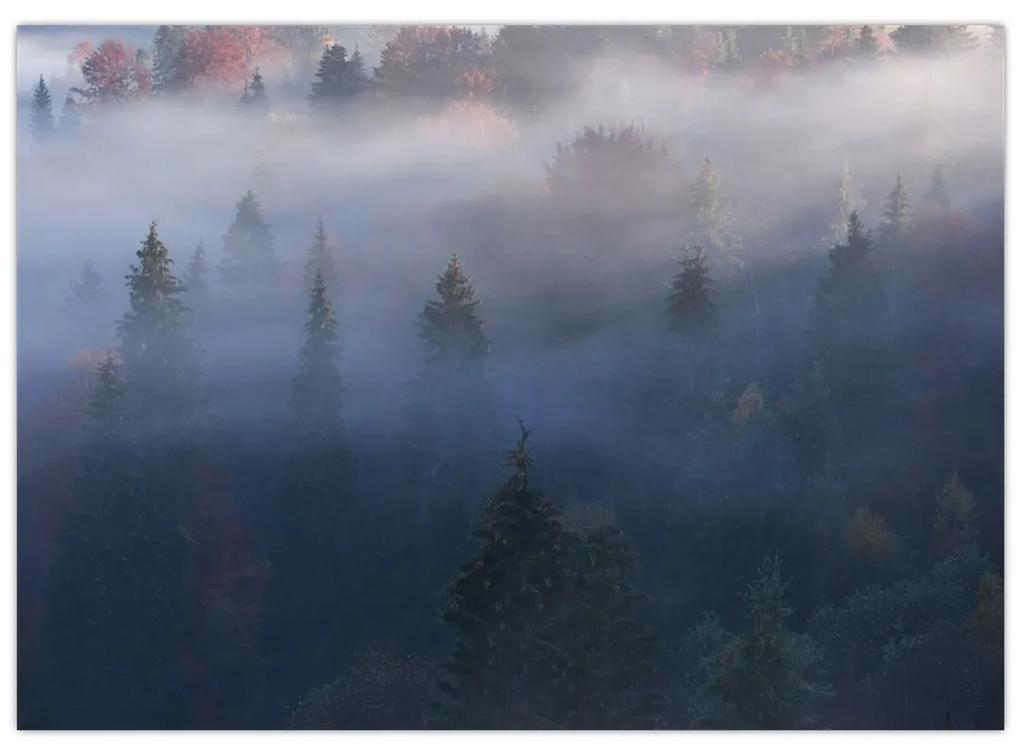 Sklenený obraz - Les v hmle, Karpaty, Ukrajina (70x50 cm)