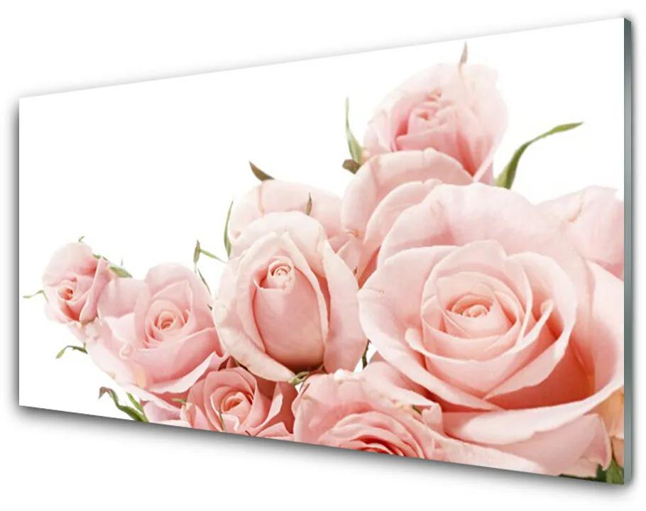 Obraz na skle Ruže kvety rastlina 100x50cm