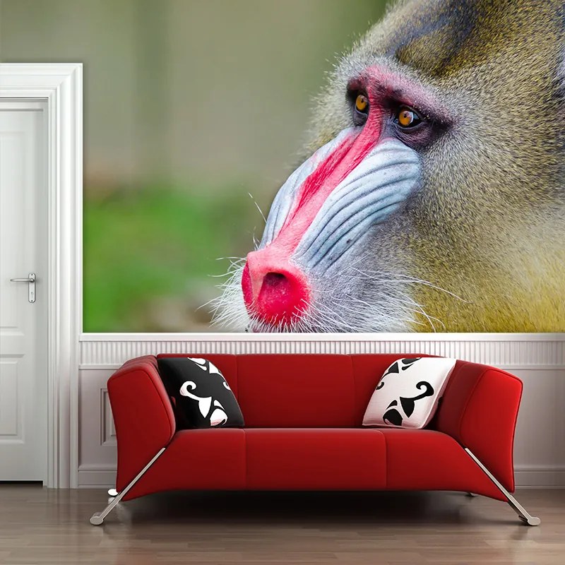 Sablio Tapeta Mandril - 125x75 cm