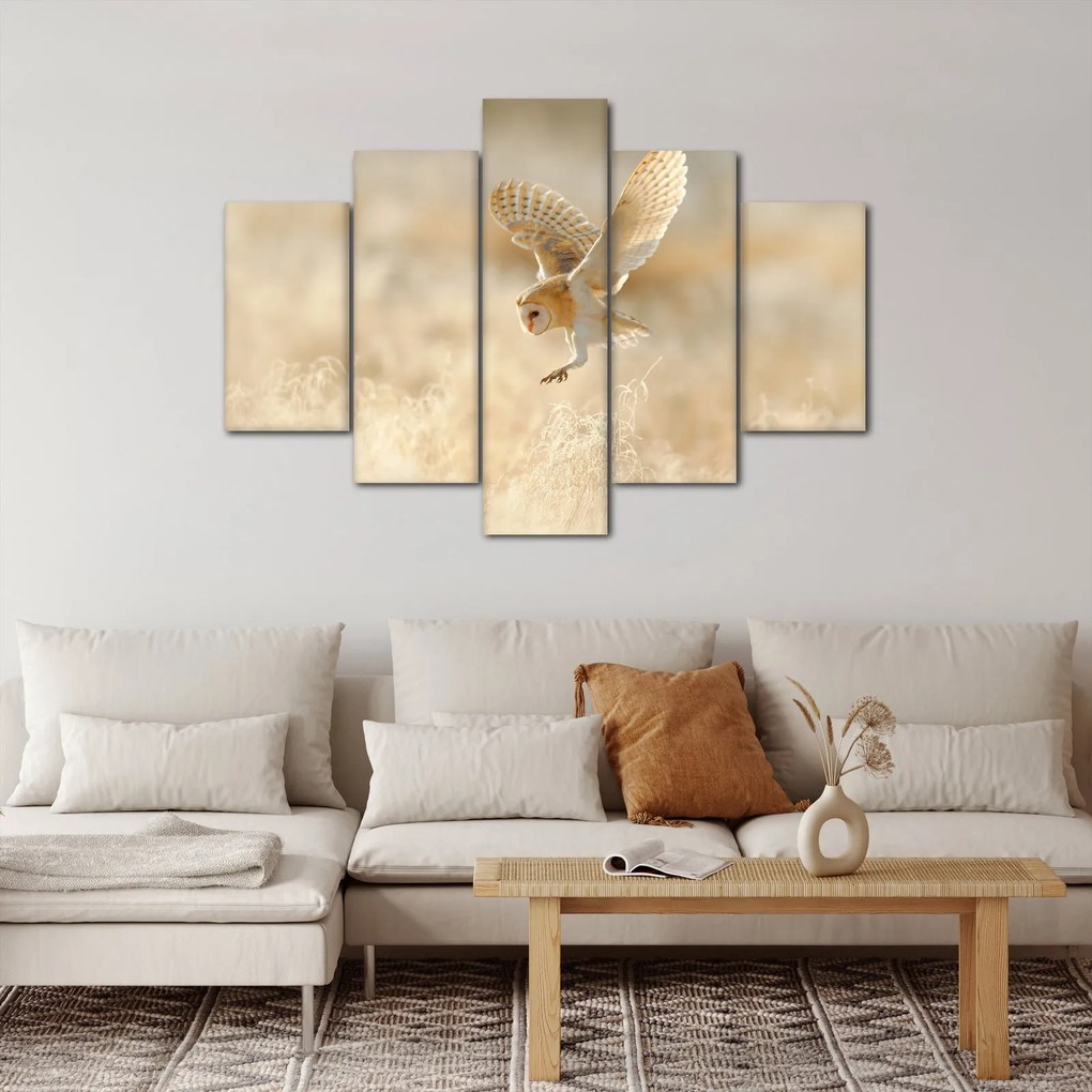 Obraz - Sova (150x105 cm)
