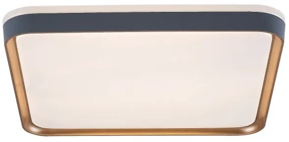 Rabalux 71029 - LED stropné svietidlo LIATRIS LED/26W/230V 3000K