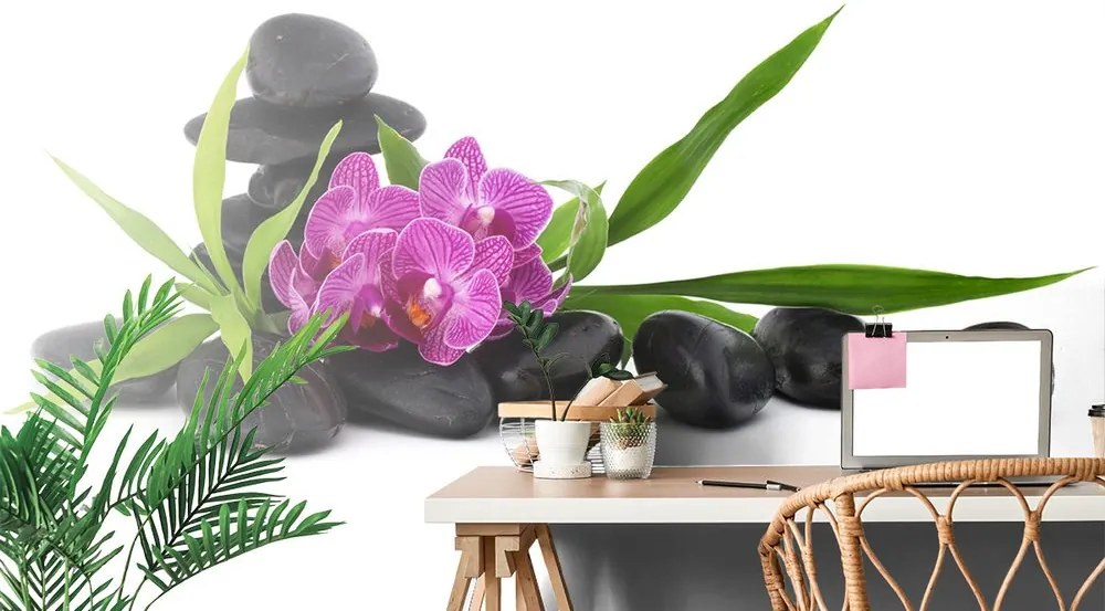 Samolepiaca tapeta fialová orchidea v Zen zátiší