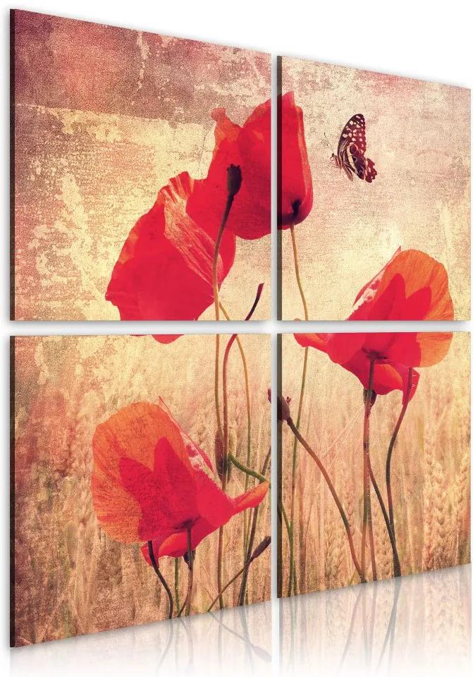 Obraz na plátne Bimago - Styl retro, máky a motýl 40x40 cm