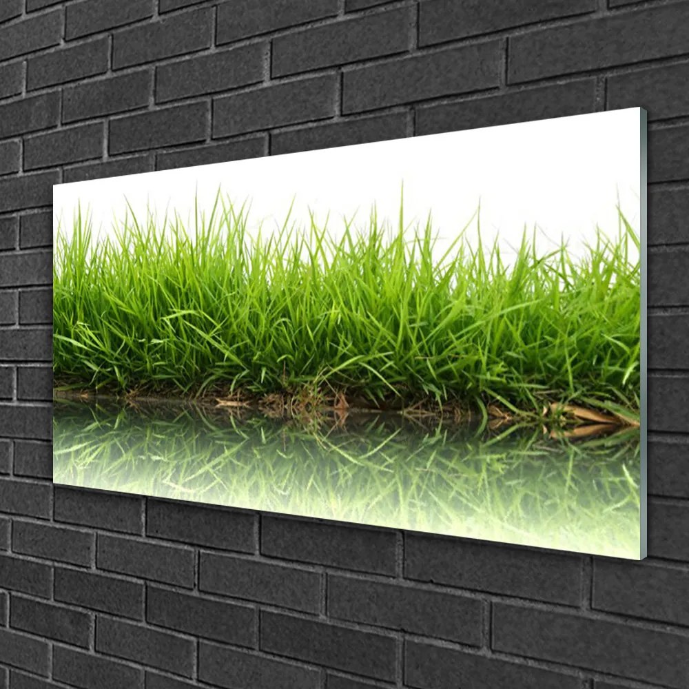 Obraz na skle Tráva voda príroda rastlina 125x50 cm