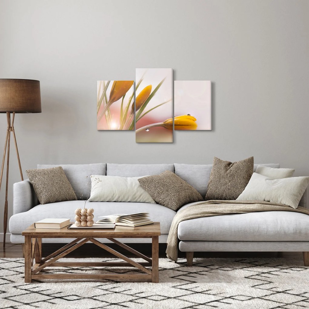 Obraz - Jarné kvety (90x60 cm)