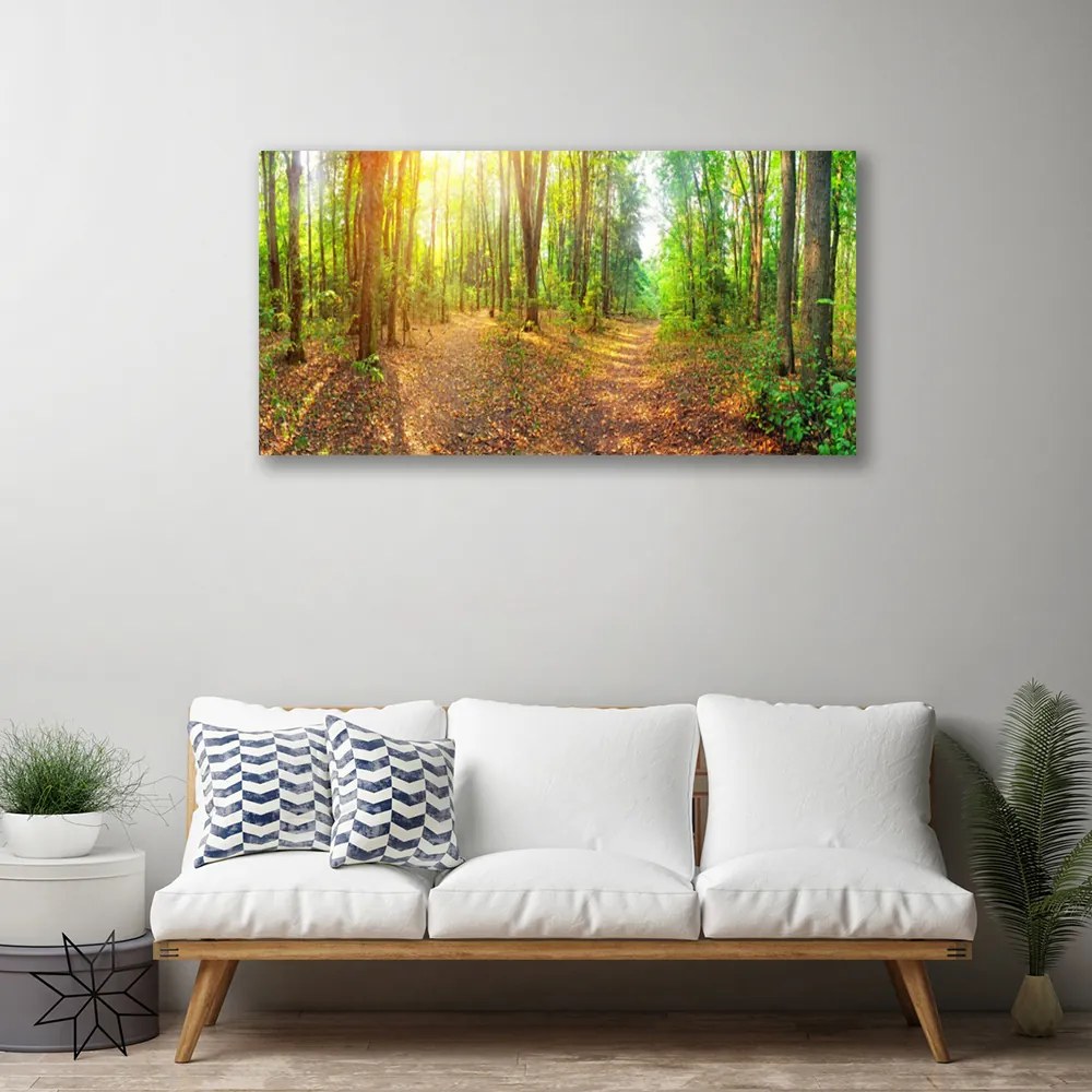 Obraz Canvas Slnko príroda lesné chodník 120x60 cm