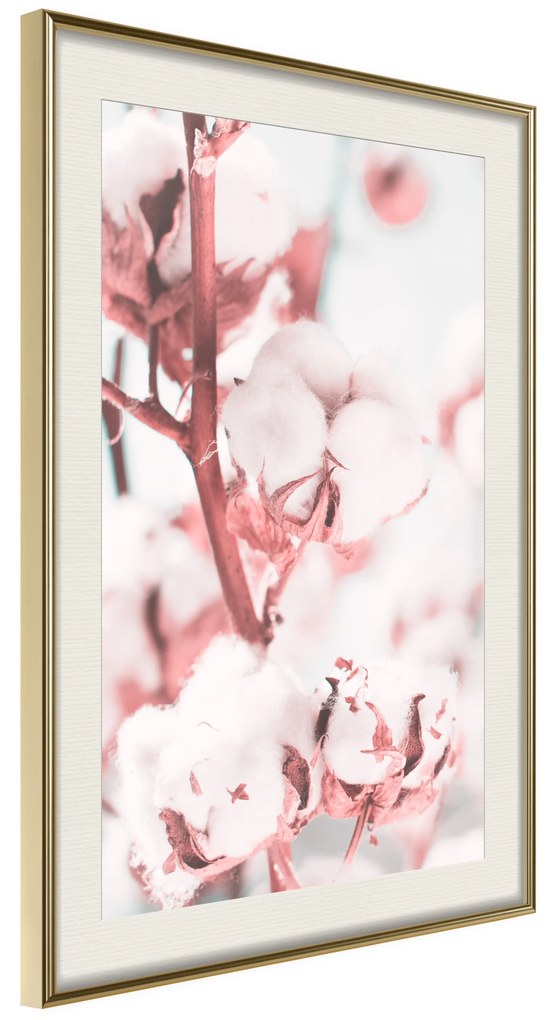 Artgeist Plagát - Blooming Cotton [Poster] Veľkosť: 20x30, Verzia: Zlatý rám s passe-partout