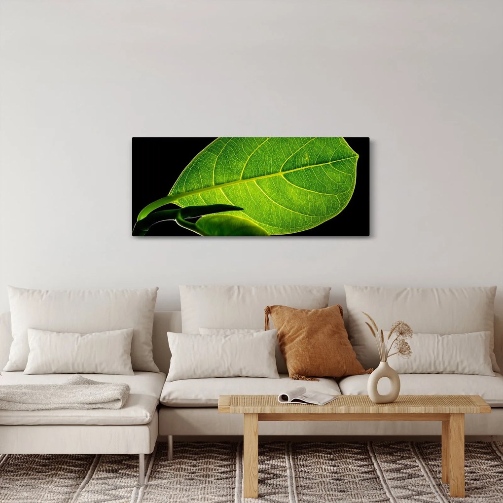 Obraz - zelený list (120x50 cm)
