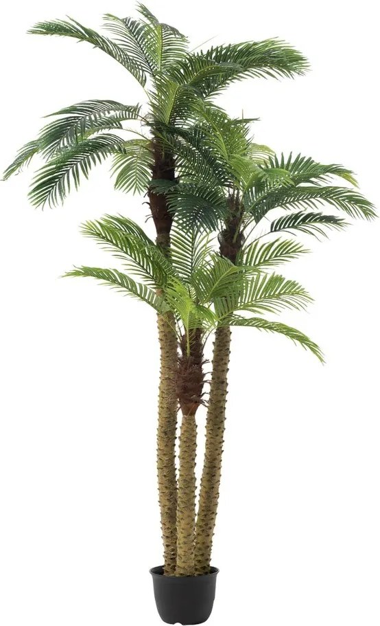 Okrasná trojitá palma v kvetináči Palm - Ø180 * 300cm
