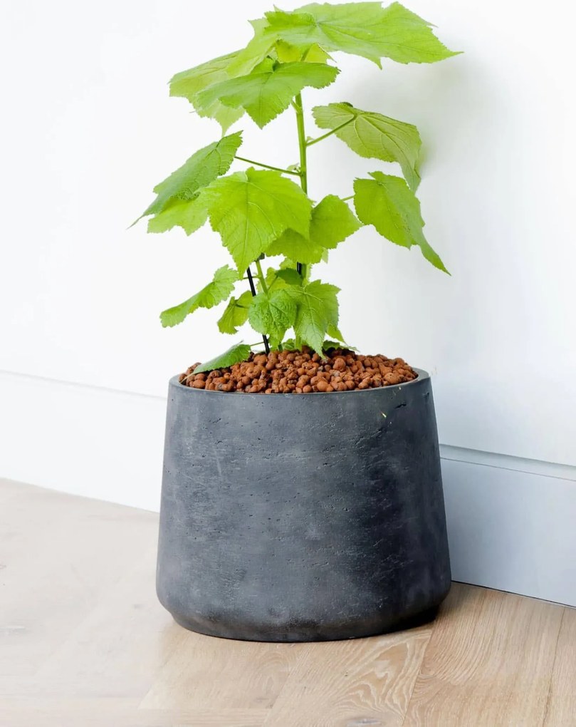 Kvetináč TROPICO, sklolaminát, výška 29 cm, antracit