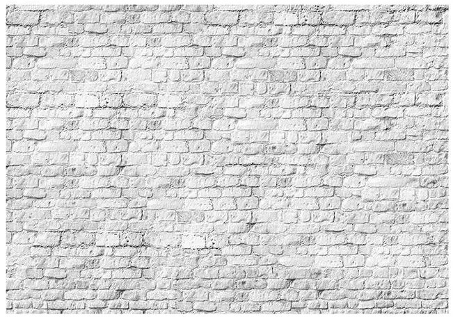 Fototapeta - White brick Veľkosť: 350x245, Verzia: Premium