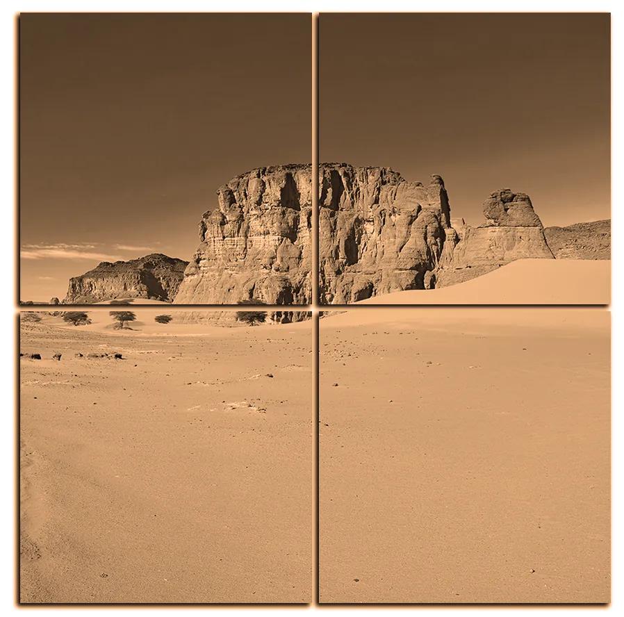 Obraz na plátne - Cesta v púšti - štvorec 3129FE (100x100 cm)