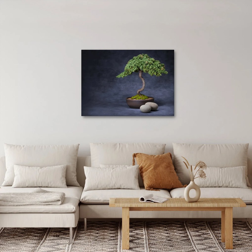 Obraz - Bonsai (70x50 cm)