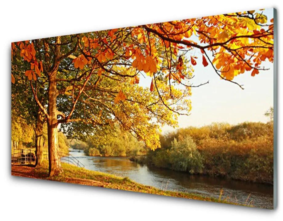 Obraz plexi Strom jazero príroda 100x50 cm