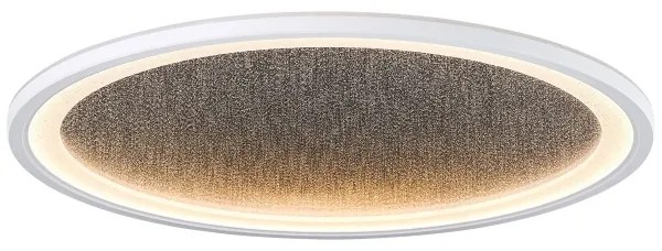 Brilliant - LED Stmievateľné stropné svietidlo TANIDA LED/31W/230V 3000-6500K + DO