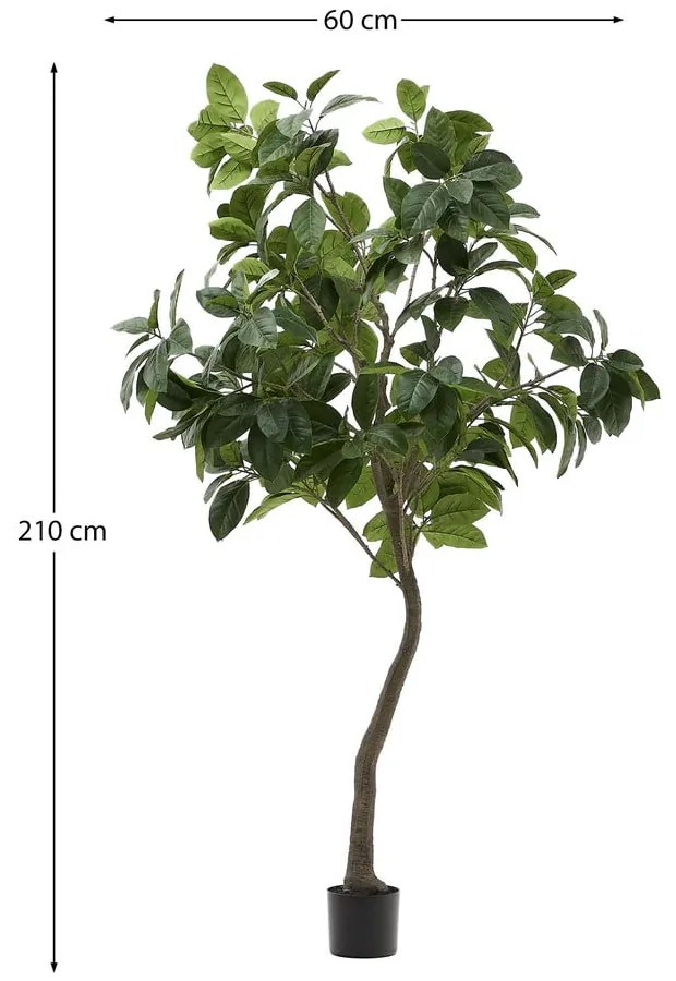 Umelý fikus (výška 210 cm) Ficus – Kave Home