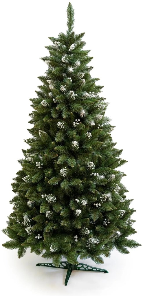 Limpol VIANOČNÝ STROMČEK Borovica Iza Perla Výška stromčeka: 240 cm