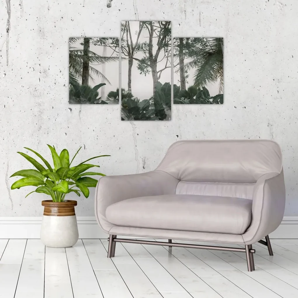 Obraz - Jungle v rannej hmle (90x60 cm)