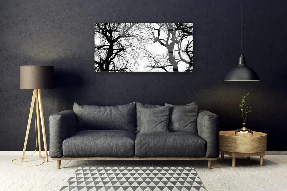 Obraz plexi Stromy príroda čiernobiely 100x50 cm