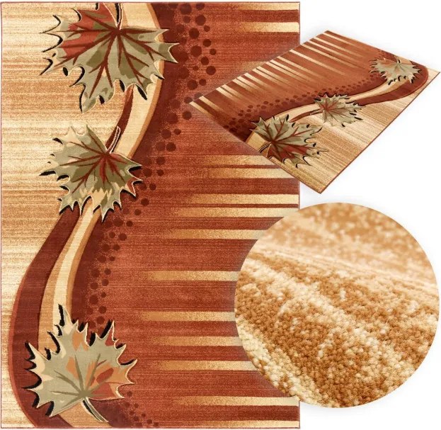 Koberec Antogya C657A hnedý