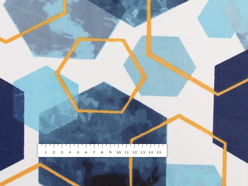 Biante Bavlnená obliečka na vankúš Sandra SA-574 Modré hexagóny na bielom 30 x 50 cm