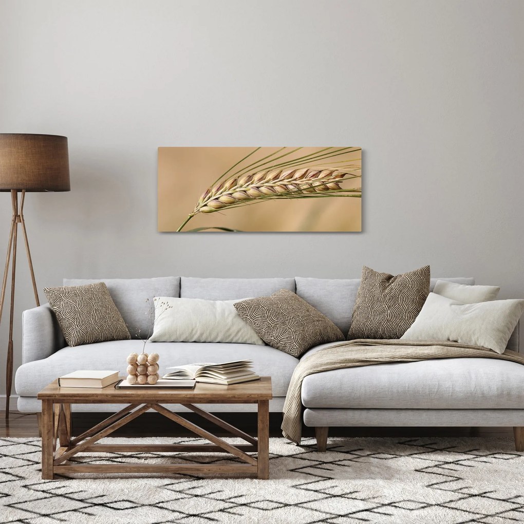 Obraz - Pšenica (120x50 cm)