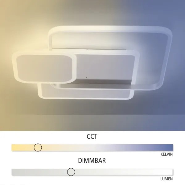 Paul Neuhaus 8319-55 - LED Stmievateľné stropné svietidlo EMILIO LED/53W/230V + DO