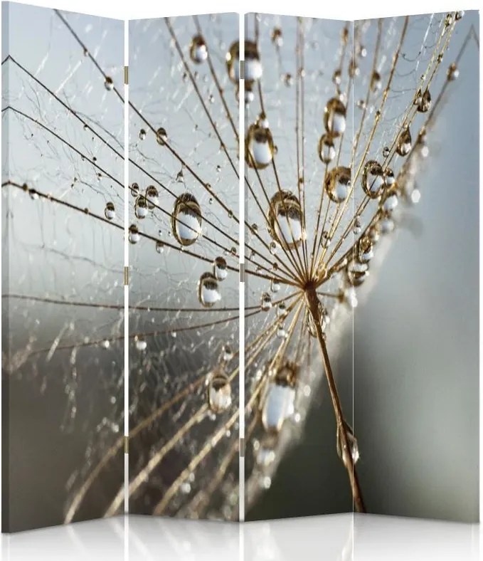 CARO Paraván - Dew Drops On The Plant | štvordielny | obojstranný 145x180 cm