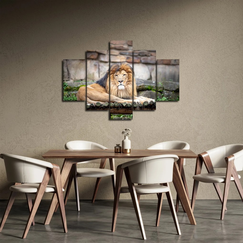 Obraz leva (150x105 cm)