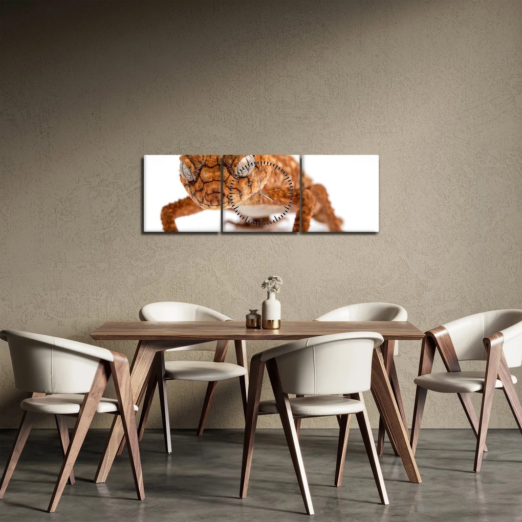 Obraz jašterice (s hodinami) (90x30 cm)