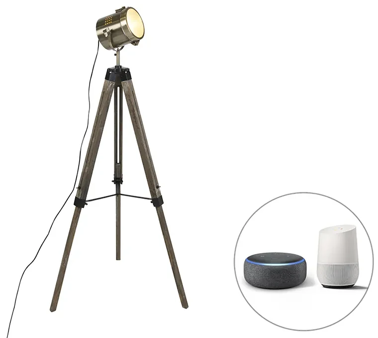 Inteligentná stojaca lampa trojnožka drevená so štúdiovým bodovým svetlom vrátane Wifi B35 - Braha