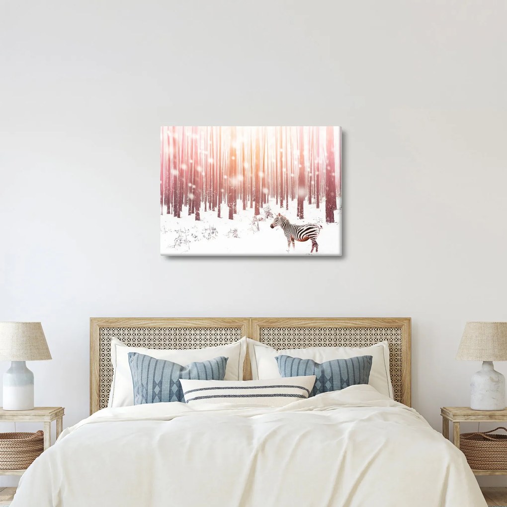 Obraz - Zebra v zasneženom lese (70x50 cm)