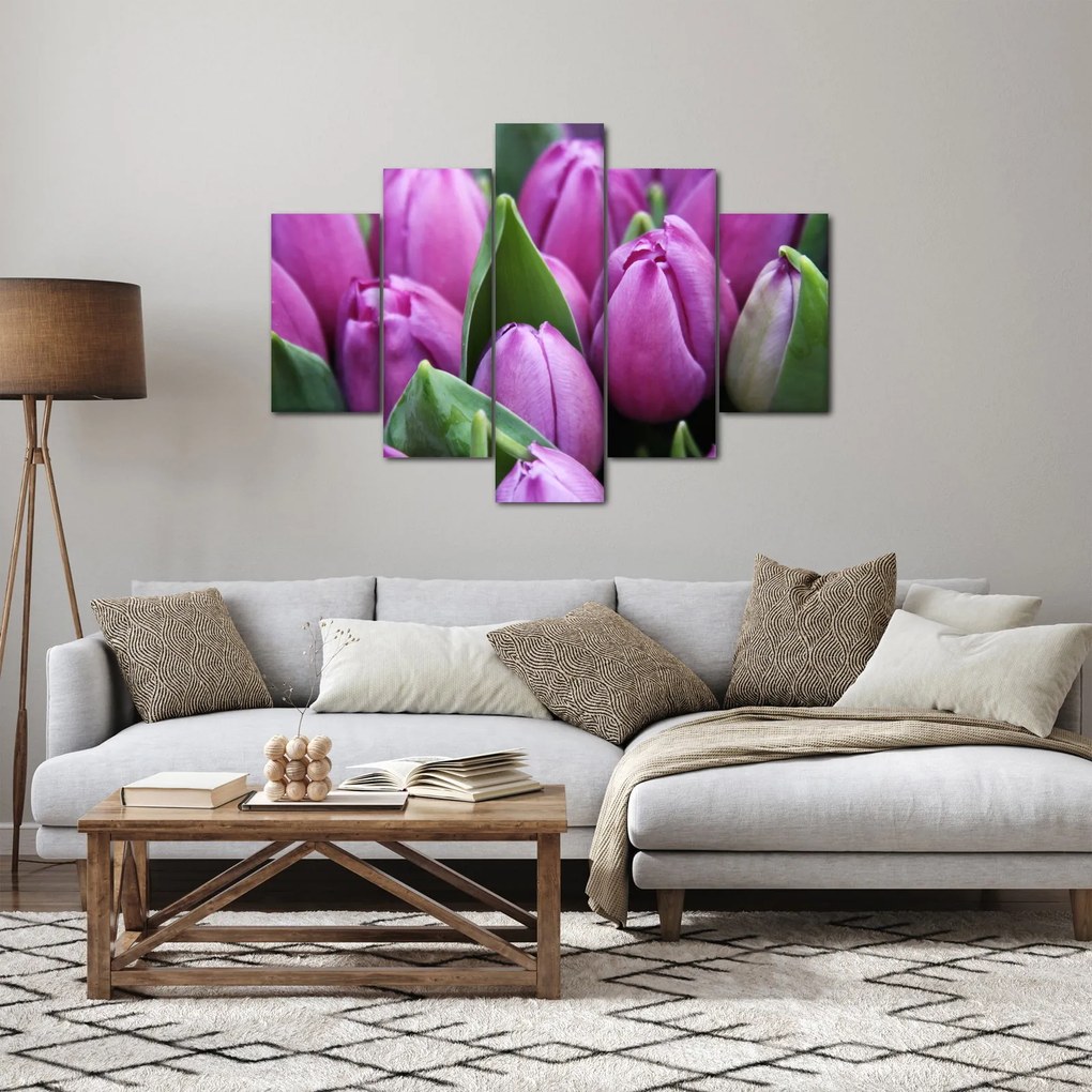 Obraz - kvety tulipánov (150x105 cm)