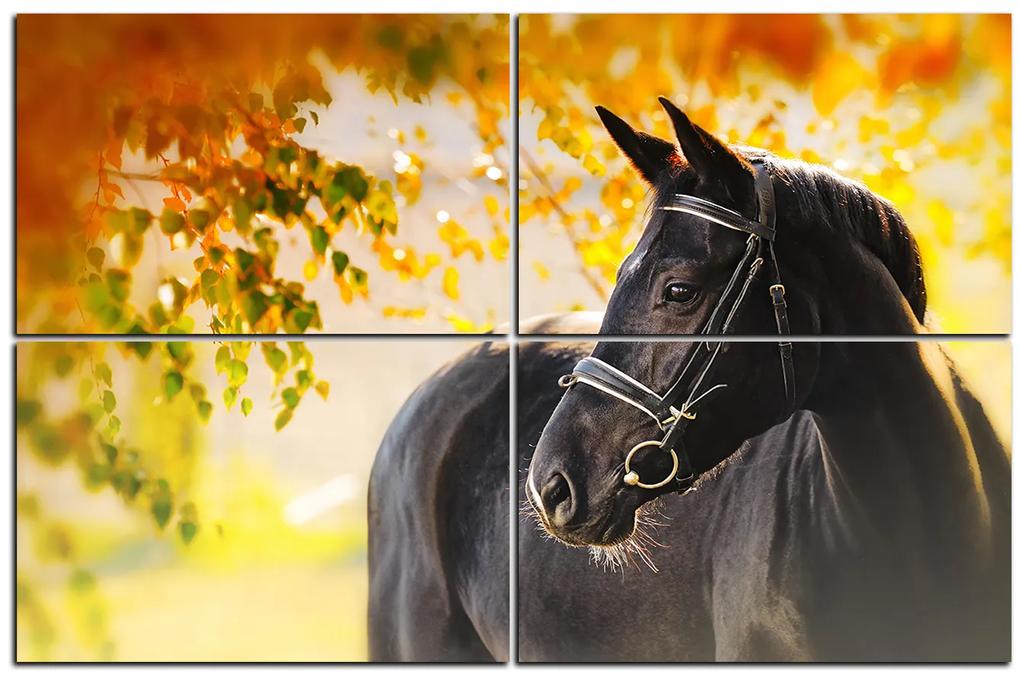 Obraz na plátne - Čierny kôň 1220E (120x80 cm)