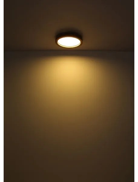 Globo 41374-24 - LED RGBW Stmievateľné stropné svietidlo BRANZA LED/24W/230V + DO