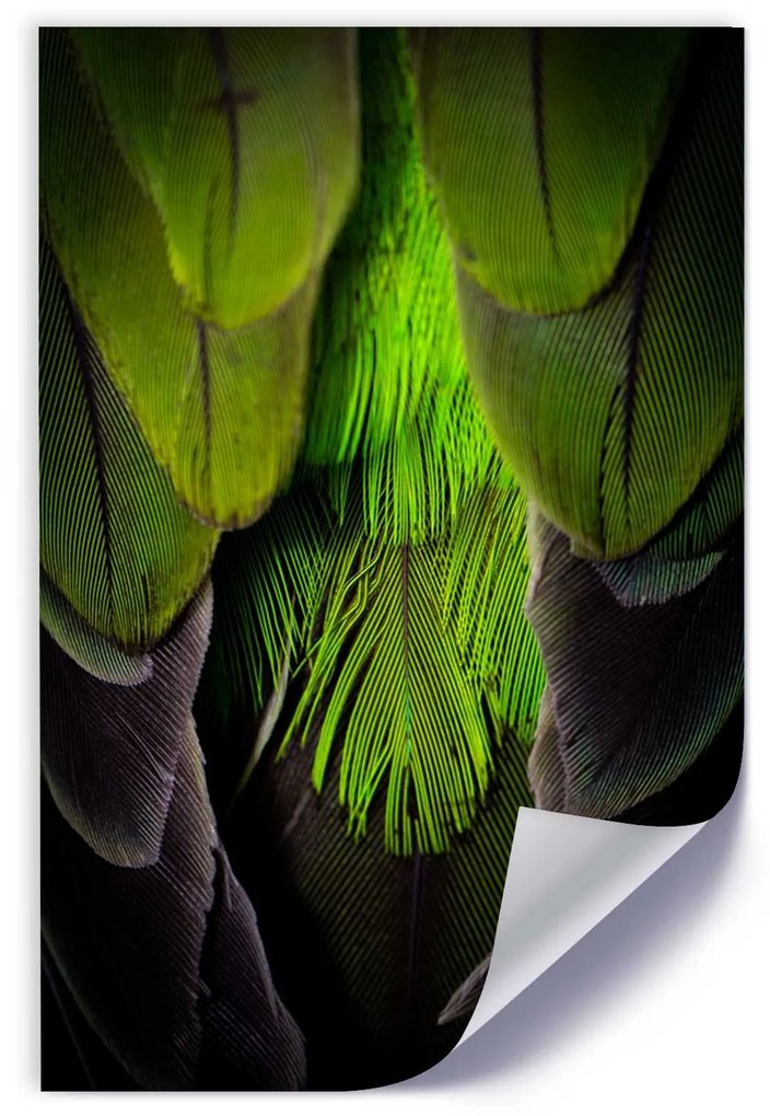 Gario Plagát Zelené perie Farba rámu: Bez rámu, Rozmery: 40 x 60 cm