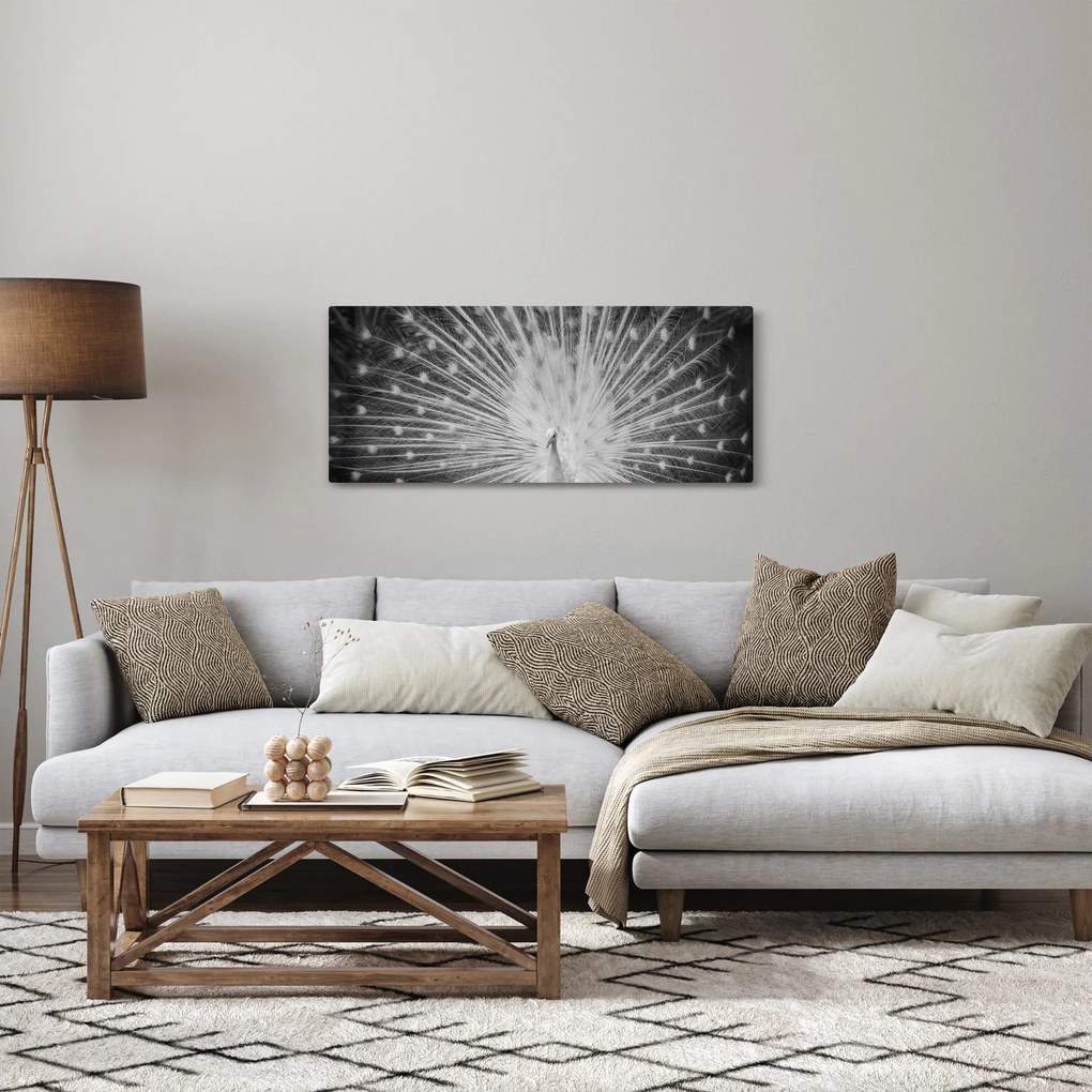 Obraz - Biely páv (120x50 cm)