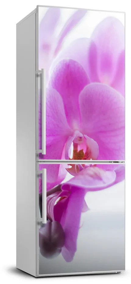 Foto tapeta na chladničku Ružová orchidea FridgeStick-70x190-f-178713472