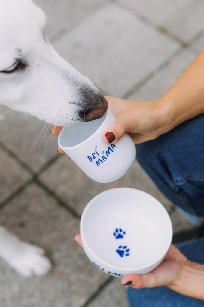 Bella Rose Porcelánová miska Dej pac  450 ml