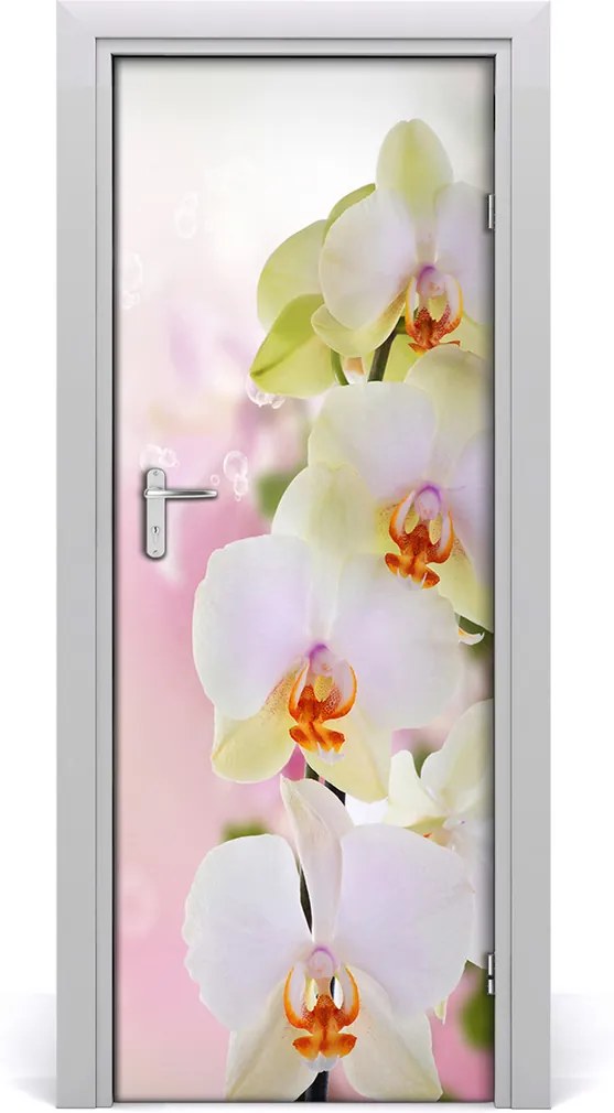 Samolepiace fototapety na dvere  biela orchidea