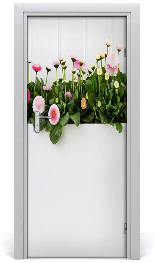 Fototapeta samolepiace ružové sedmokrásky 75x205 cm